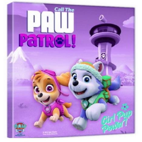 Paw Patrol Skye & Everest Canvas Print (35cm x 35cm) £5.99